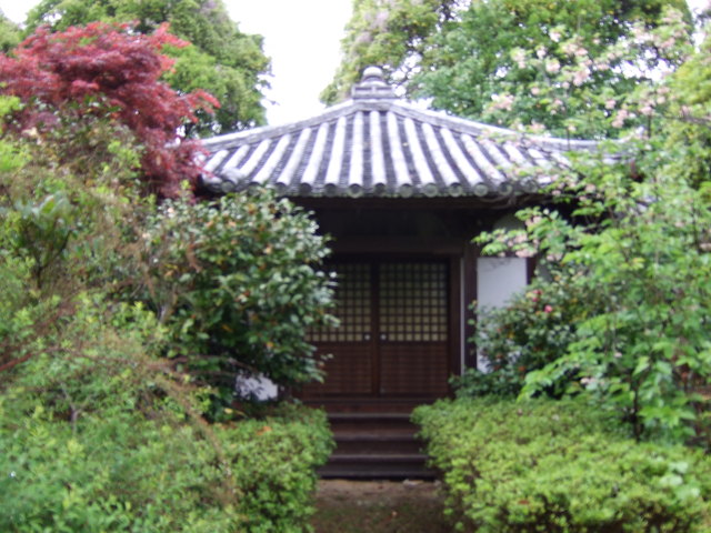 海龍王寺の写真の写真