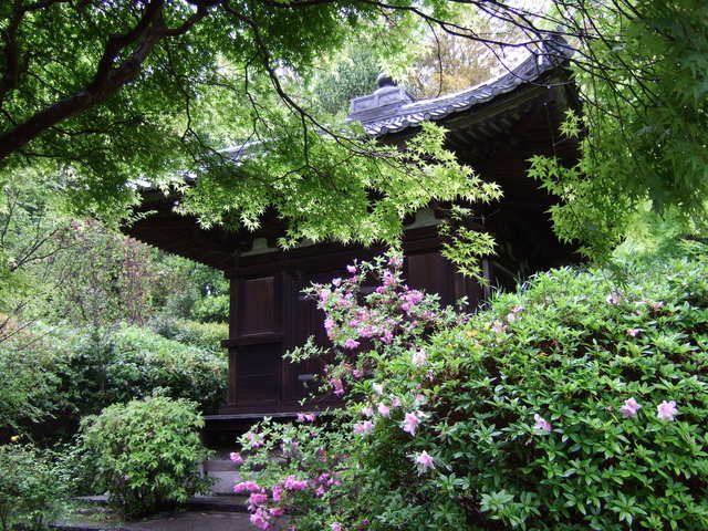 重要文化財・不退寺塔婆の写真の写真