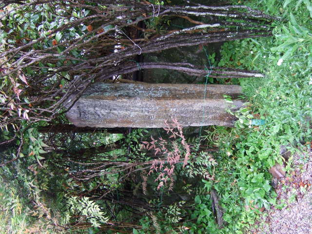 不退寺の写真の写真