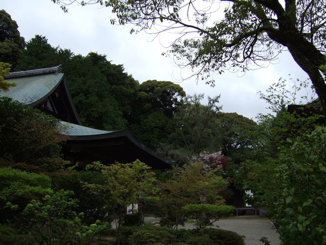 圓成寺の写真の写真
