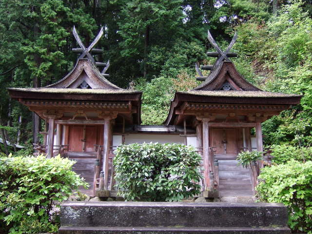 圓成寺・春日堂と白山堂の写真の写真