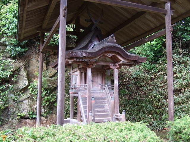 重要文化財・圓成寺宇賀神本殿の写真の写真