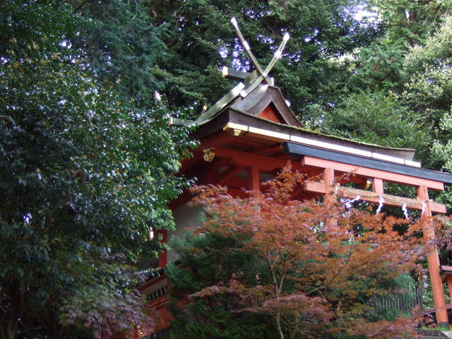 夜支布山口神社・摂社立磐神社本殿の写真の写真