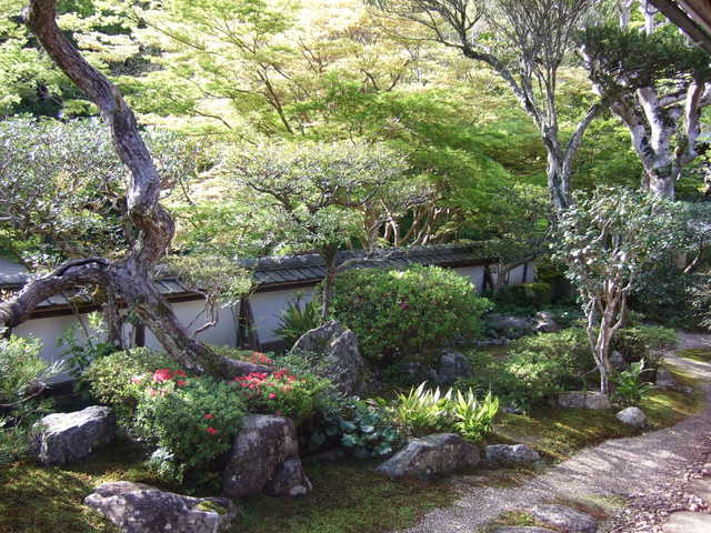 unknownの写真の写真