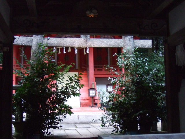 高山八幡宮の写真の写真