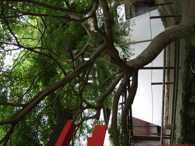 重要文化財・新薬師寺鐘楼の写真の写真