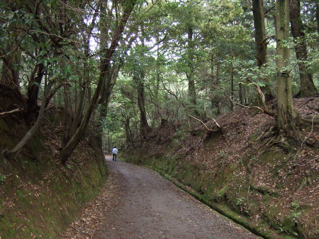 unknownの写真の写真