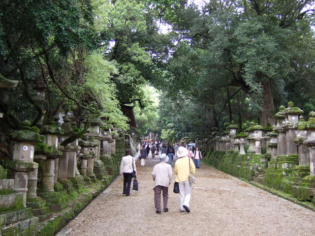 unknownの写真の写真