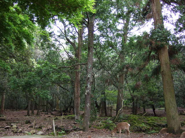 unknownの写真の写真