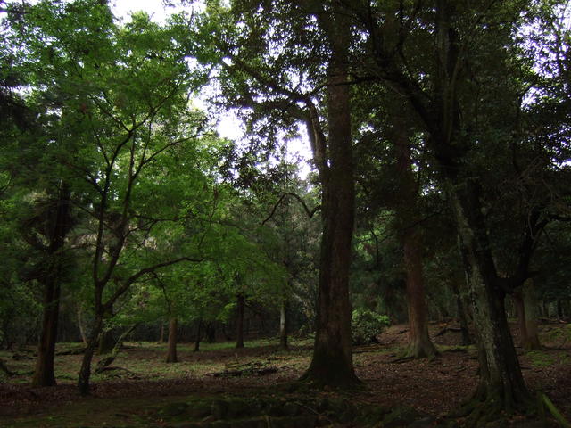 unknownの写真の写真