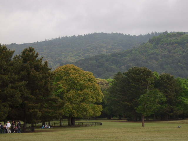 unknownの写真の写真