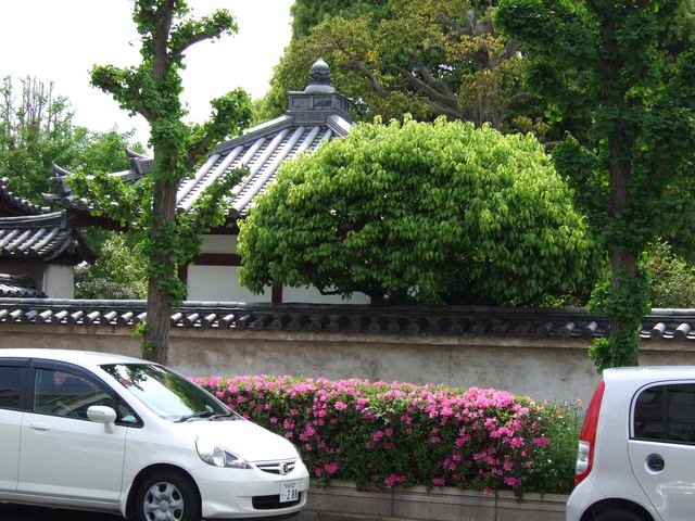 重要文化財・傳香寺本堂の写真の写真