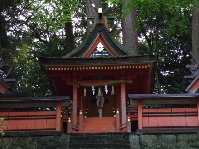 重要文化財・丹生神社本殿の写真の写真