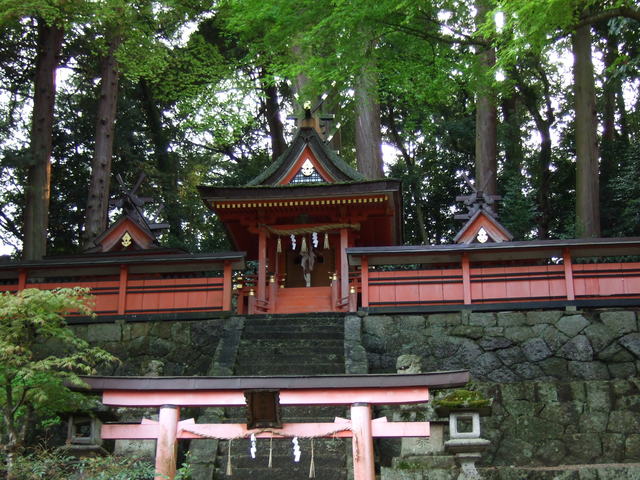 丹生神社・本殿の写真の写真