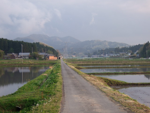 農道の写真の写真