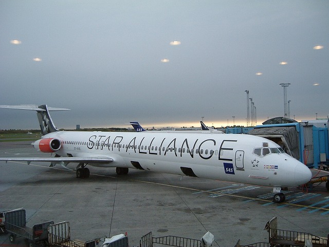 SASスカンジナビア航空 ・スターアライアンス塗装・MD-82の写真の写真