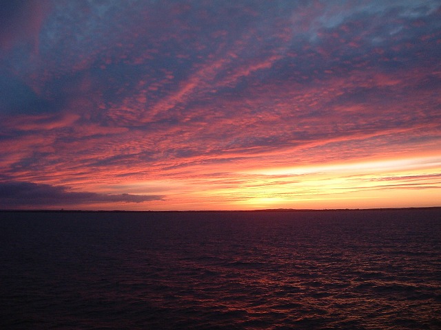 船(DFDS)の写真の写真