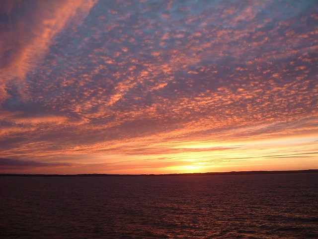 船(DFDS)の写真の写真