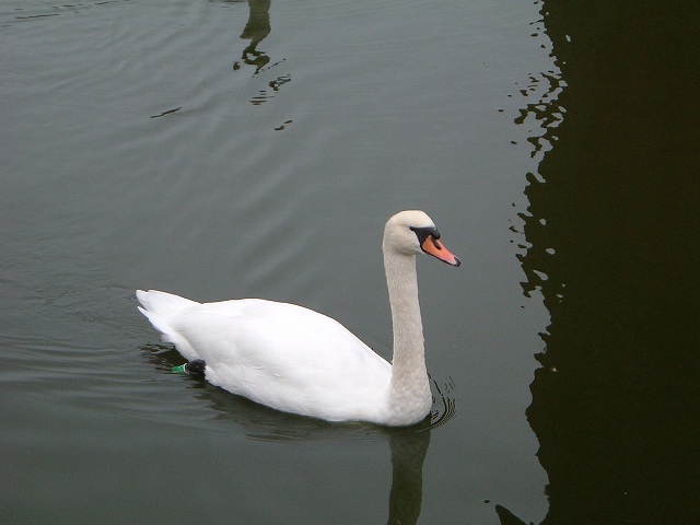 クロンボー城の写真の写真
