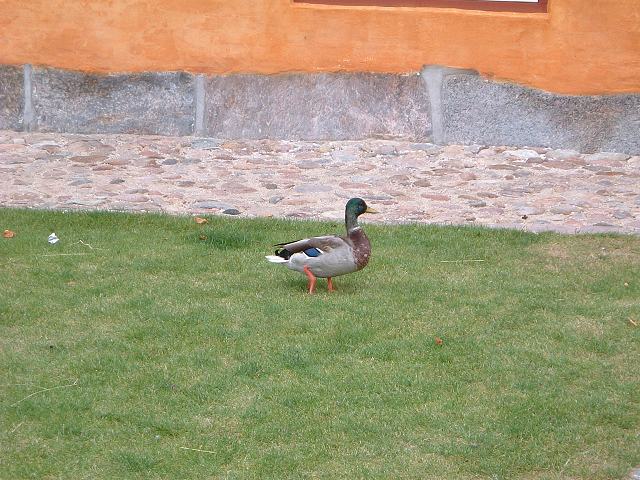 クロンボー城の写真の写真