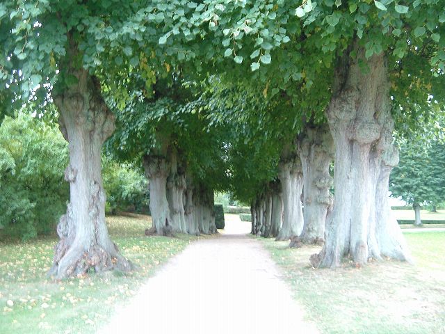 フレデリクスボー城の写真の写真