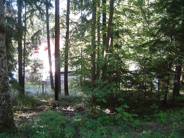 ドロットニングホルム宮殿の写真の写真