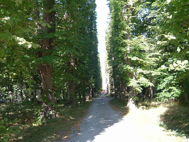 ドロットニングホルム宮殿の写真の写真