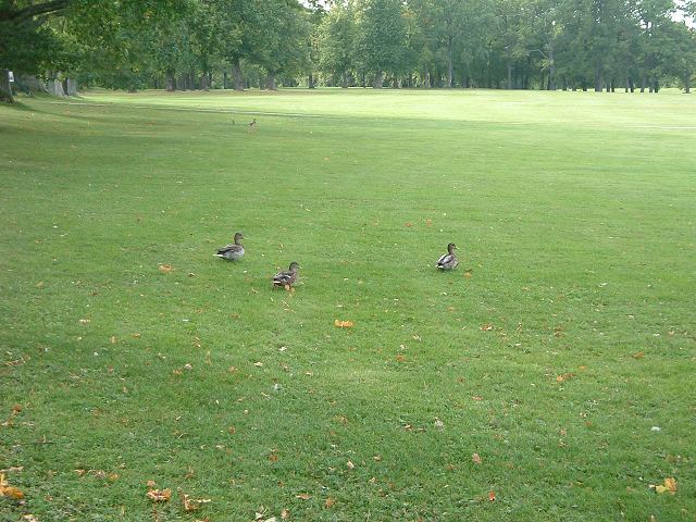 ドロットニングホルム宮殿の写真の写真