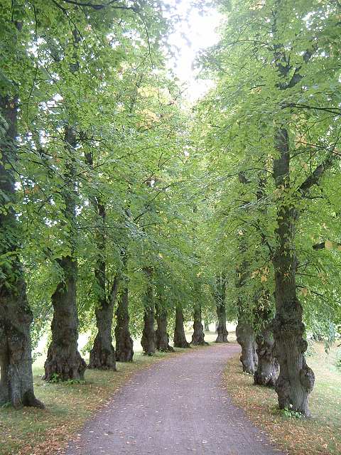 ドロットニングホルム宮殿の写真の写真