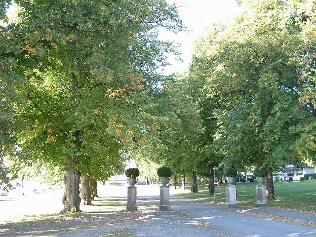 ドロットニングホルム宮殿の写真の写真