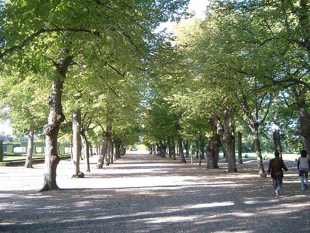 ドロットニングホルム宮殿の写真の写真