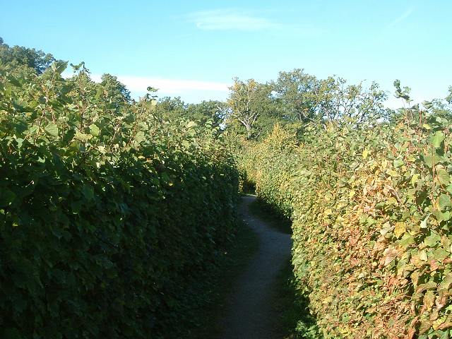 ドロットニングホルム宮殿の写真の写真