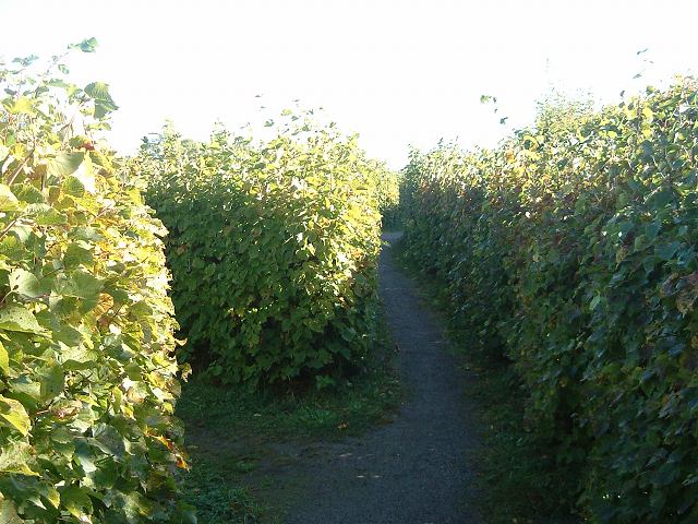 ドロットニングホルム宮殿の写真の写真