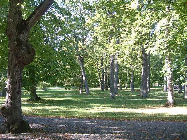 ドロットニングホルム宮殿の写真の写真