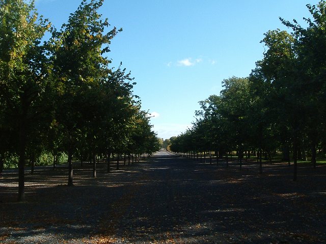 ドロットニングホルム宮殿の写真の写真