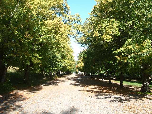 ドロットニングホルム宮殿の写真の写真