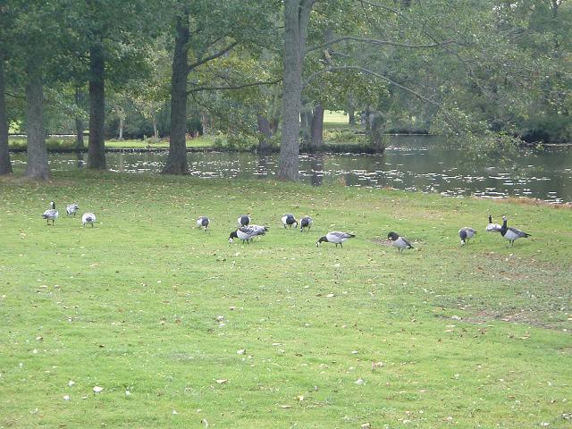 ドロットニングホルム宮殿の写真の写真