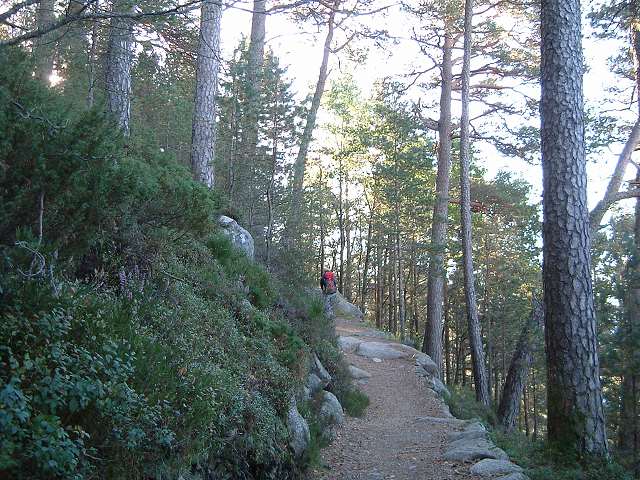 リーセフィヨルド・はじめのうちは山道が続くの写真の写真