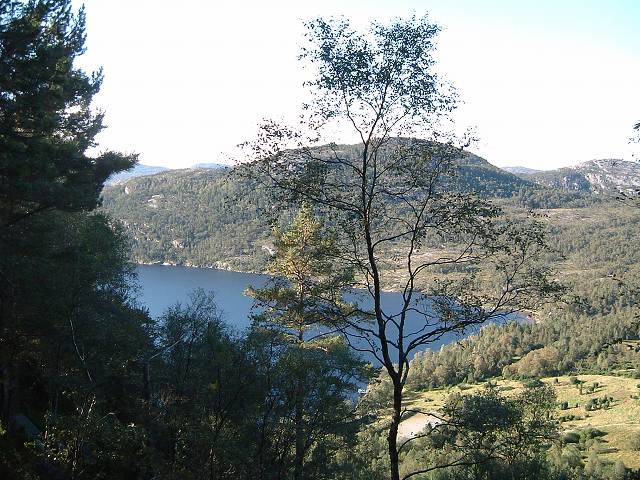 リーセフィヨルド・登り始めるとすぐに池が見える。の写真の写真