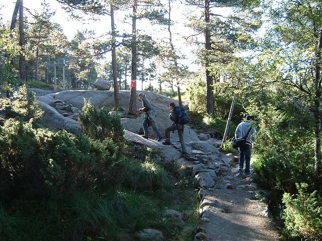 リーセフィヨルドの写真の写真