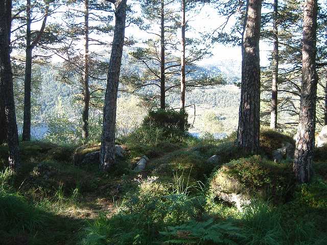 リーセフィヨルドの写真の写真