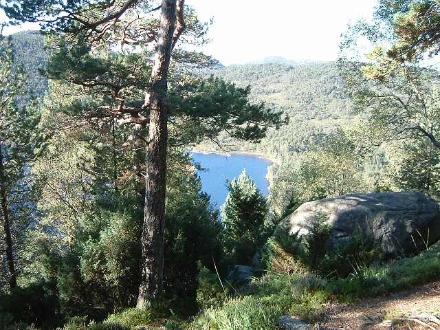 リーセフィヨルドの写真の写真