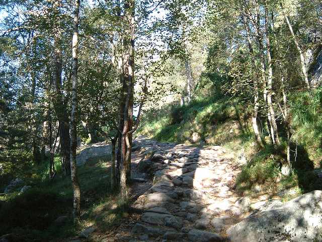 リーセフィヨルドの写真の写真