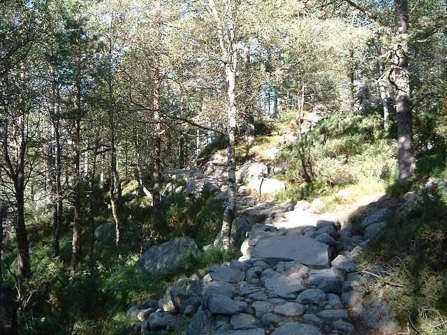 リーセフィヨルドの写真の写真