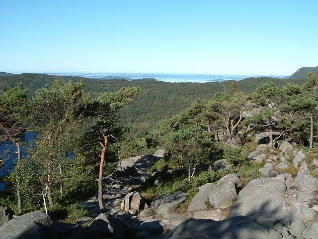 リーセフィヨルドの写真の写真