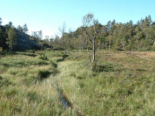 リーセフィヨルドの写真の写真