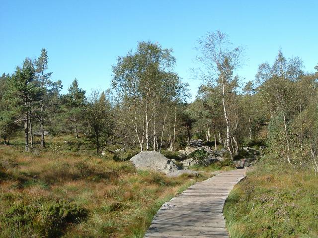 リーセフィヨルドの写真の写真