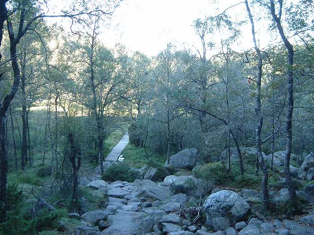 リーセフィヨルドの写真の写真