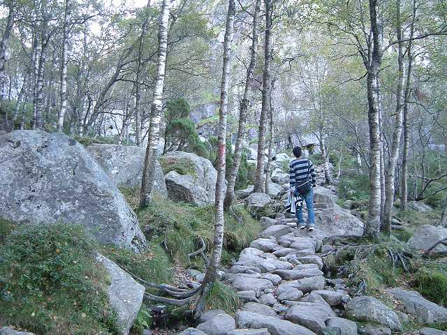 リーセフィヨルド・石畳の写真の写真