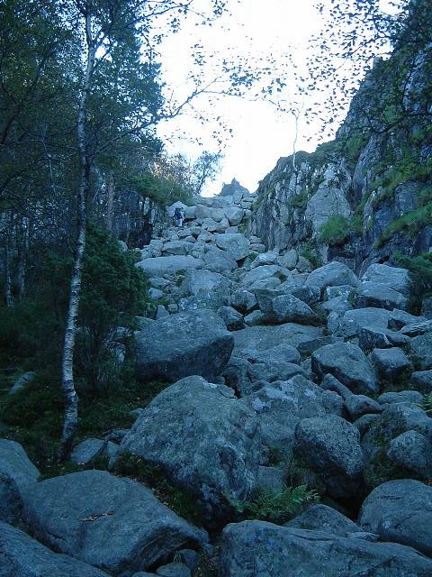 リーセフィヨルド・途中このような道も登るの写真の写真